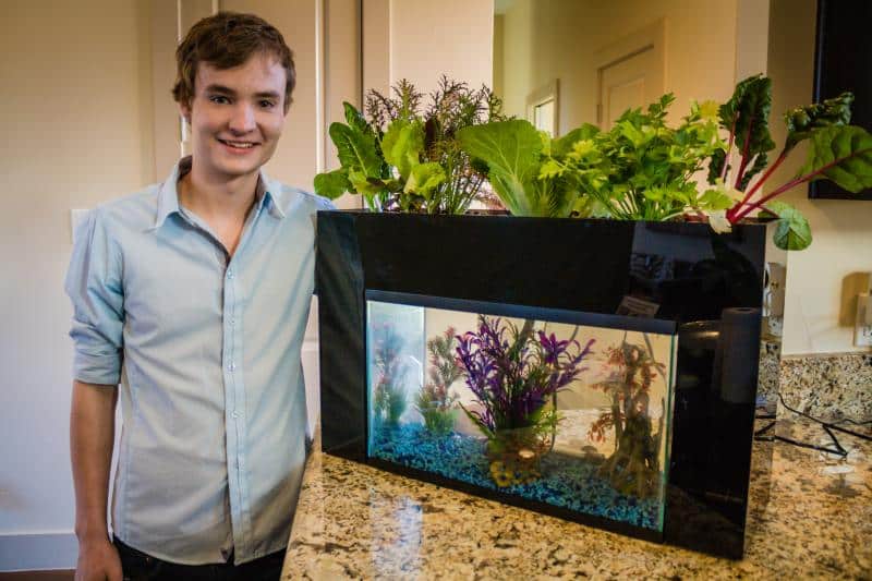 aquasprouts The Upside of the Automation Economy