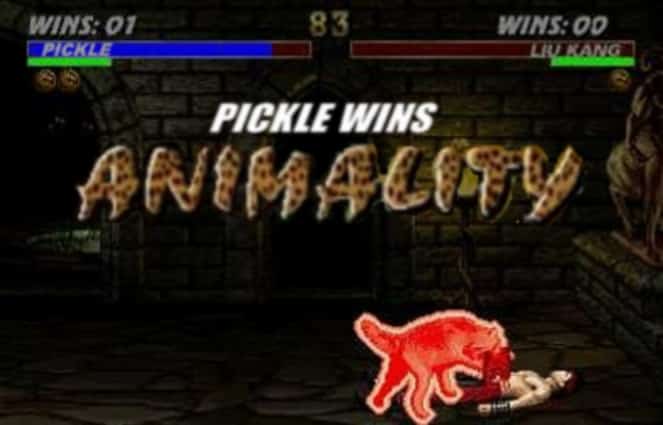 pickle animality 5 More Games You Should Install on Your SNES Classic