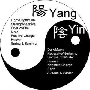 Yin Yang What's in a Dress? Chinese Culture in the Melting Pot